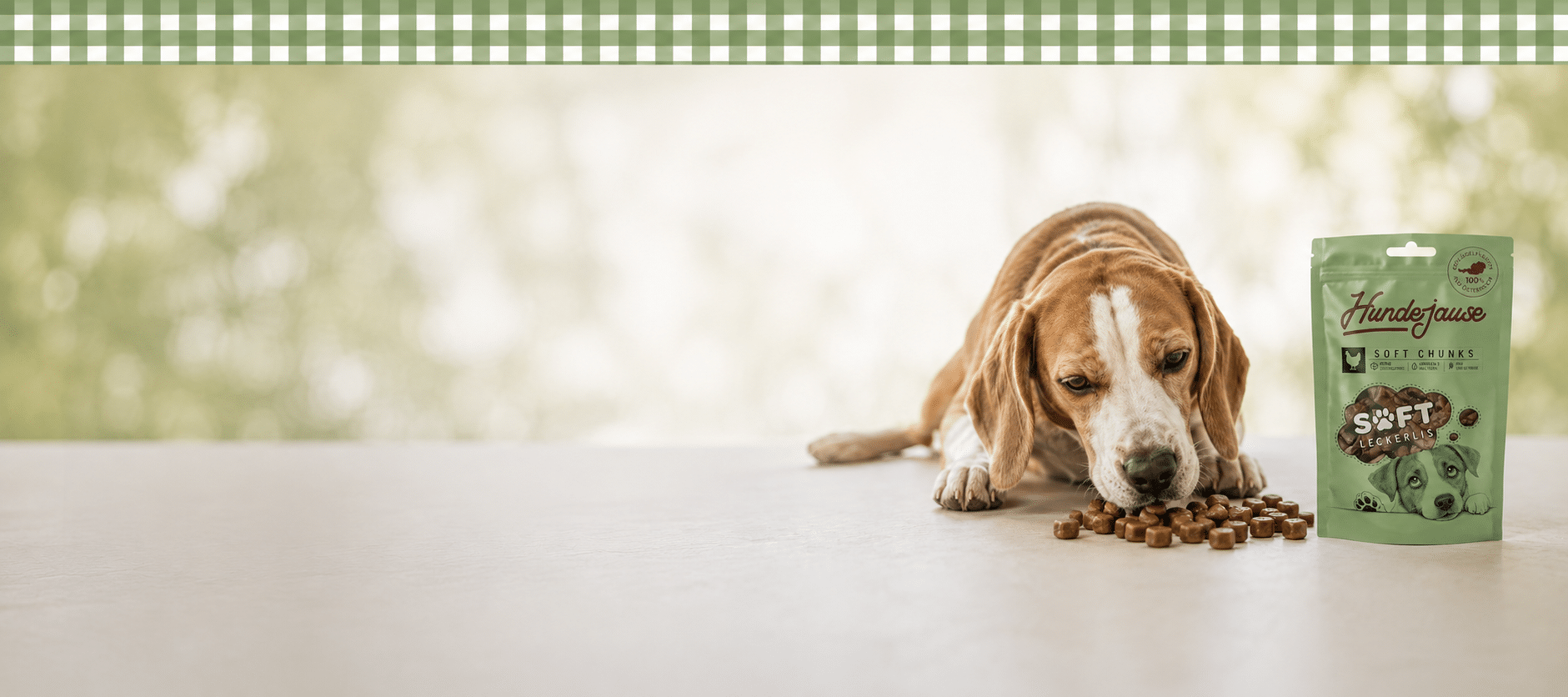 Hund_version_2_leckerlie